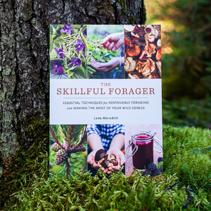 THE SKILLFUL FORAGER